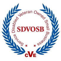 SDVOSB small